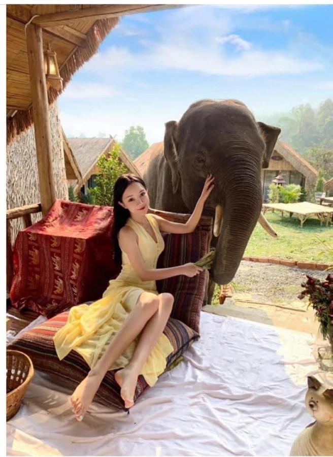 3 Pok Maewang Jinxiang Gold Elephant Park Mae Wang Exterior photo