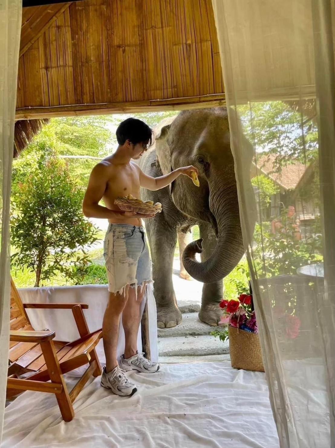 3 Pok Maewang Jinxiang Gold Elephant Park Mae Wang Exterior photo