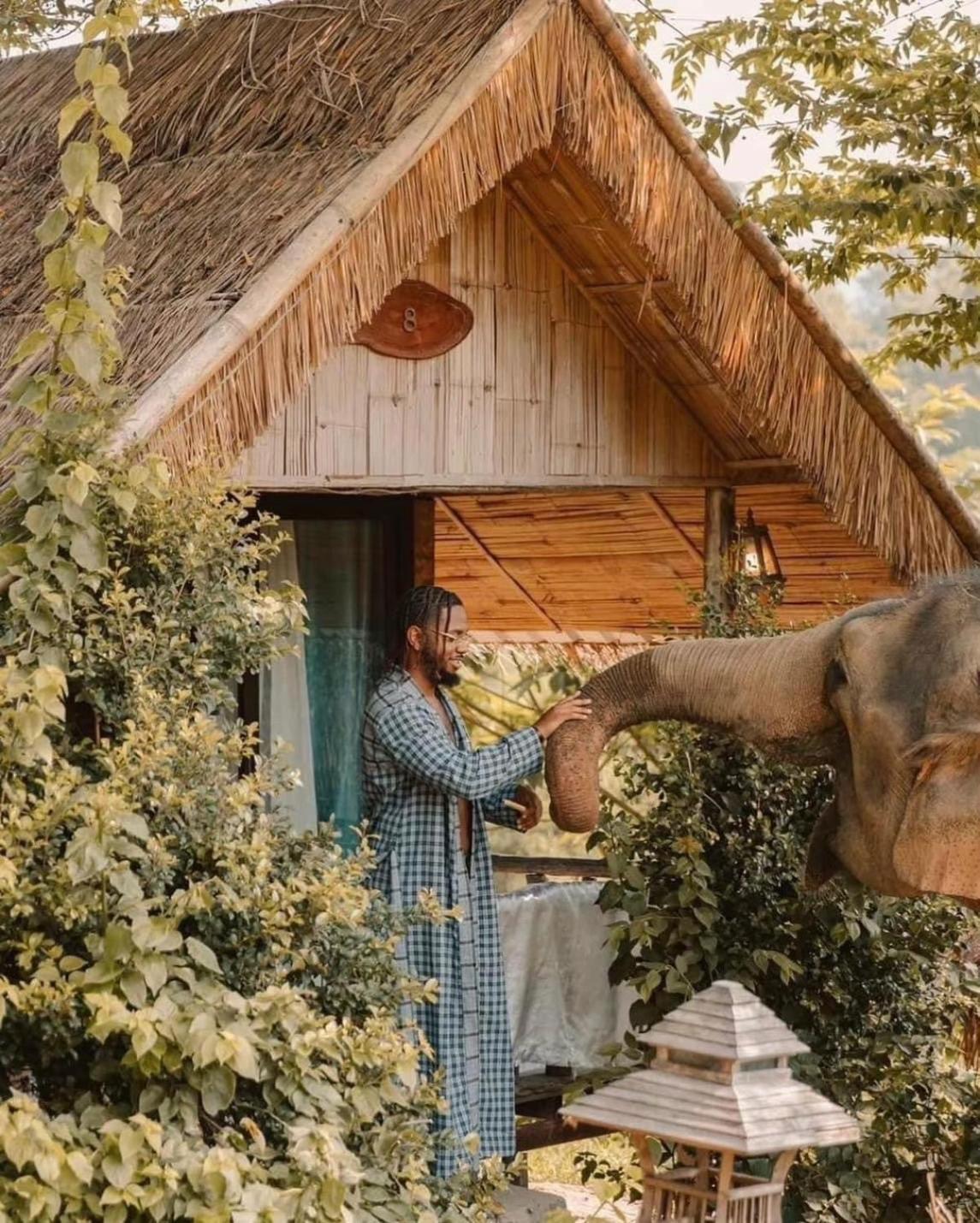 3 Pok Maewang Jinxiang Gold Elephant Park Mae Wang Exterior photo